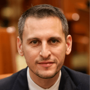 Poza profil deputat