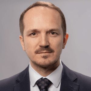 Poza profil deputat