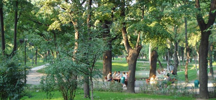 Uniunea Salvaţi România se opune distrugerii parcului Kiseleff