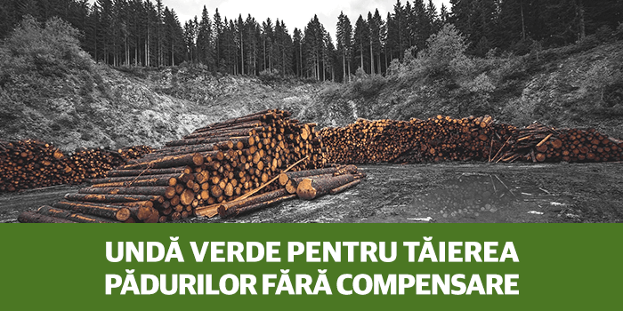 USR: România nu poate adopta un Cod silvic favorabil mafiei lemnului și dezvoltatorilor imobiliari!