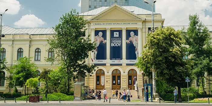 USR cere Ministerului Culturii să nu comaseze muzeele din București