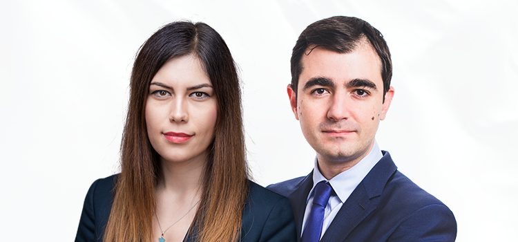 Deputații Claudiu Năsui și Cristina Prună au depus un proiect de lege menit să reducă birocrația inutilă