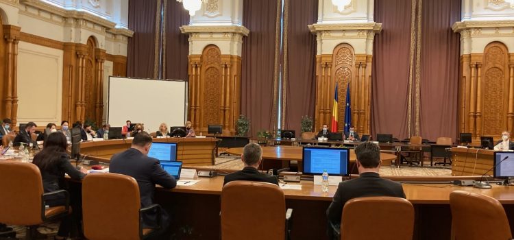 Raport favorabil în Comisia juridică a Camerei Deputaților pentru desființarea Secției speciale