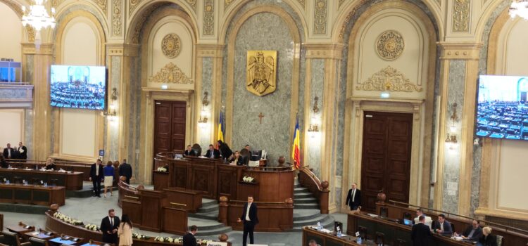 Sebastian Cernic, USR: „PSD și PNL au transformat Parlamentul într-o mare sală de păcănele!”