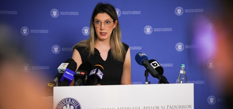 Diana Buzoianu: Vom face tot să salvăm fondurile europene fără a risca penalități uriașe din taxele românilor