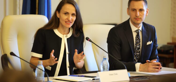 Dezbatere despre viitorul Institutului Cultural Român și importanța diplomației culturale